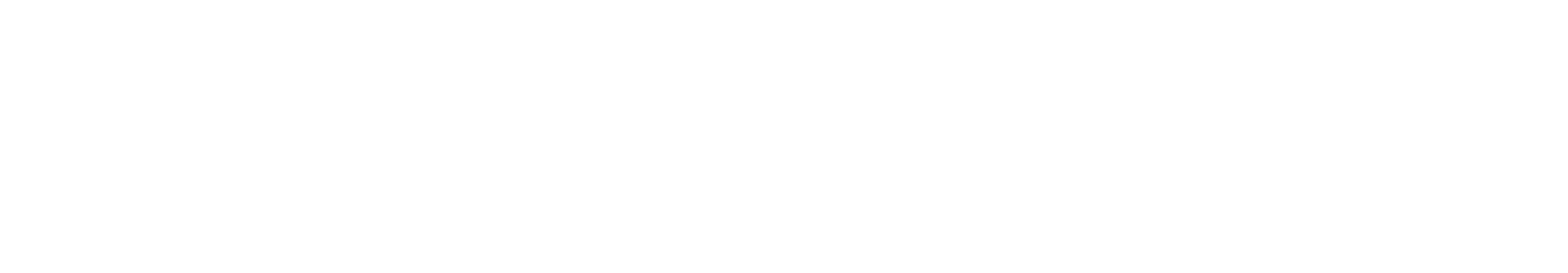 OtoPasaport